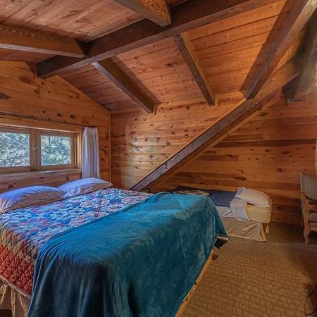 Forest Cabin 3 Bear'S Den 佩森 外观 照片