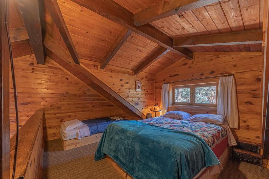 Forest Cabin 3 Bear'S Den 佩森 外观 照片